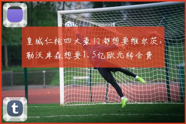 皇城仁枪四大豪门都想要维尔茨，勒沃库森想要1.5亿欧元转会费