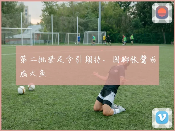 第二批禁足令引期待，国脚张鹭或成大鱼