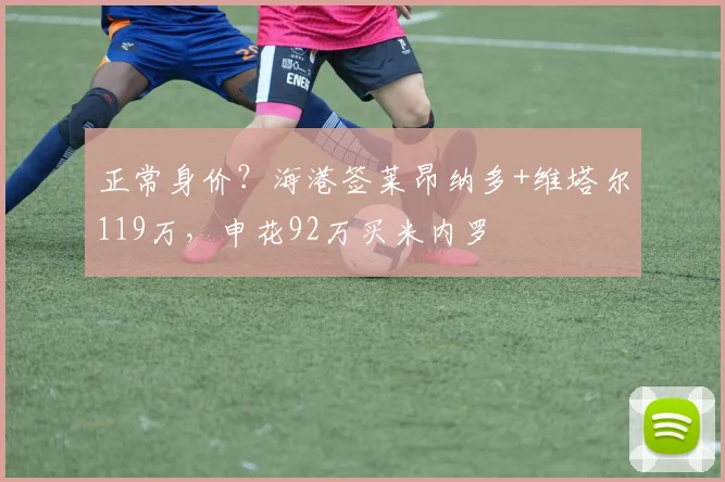 正常身价？海港签莱昂纳多+维塔尔119万，申花92万买米内罗